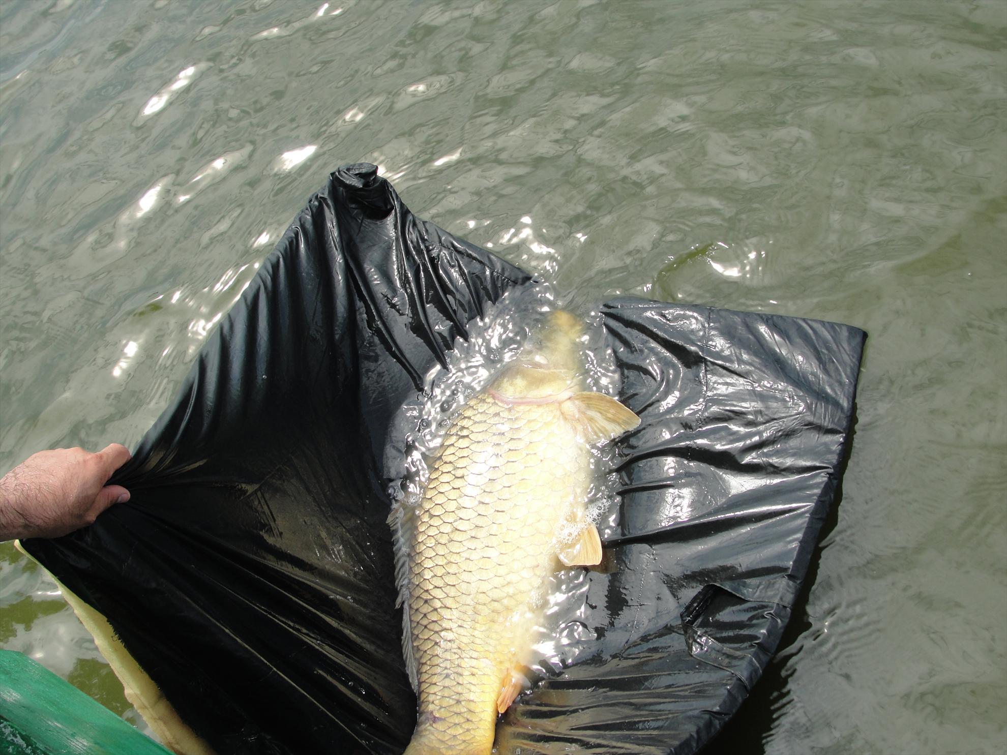 Moara Vlasiei 2 9 - 9 iun. - vizita s-a incheiat :)